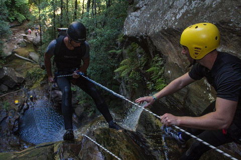 Blue Mountains Empress Canyon Adventure From Wentworth Falls - Broome Tourism 2