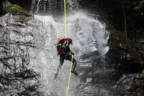 Blue Mountains Empress Canyon Adventure From Wentworth Falls - Broome Tourism 3
