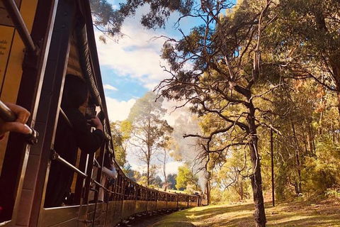Private Yarra Valley And Puffing Billy Tour - Broome Tourism 1