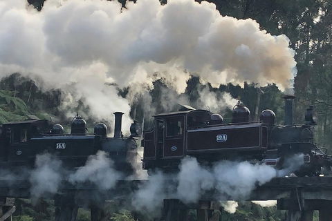 Private Yarra Valley And Puffing Billy Tour - Broome Tourism 3