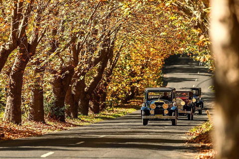 Blue Mountains Vintage Cadillac Tour With Local Guide - Broome Tourism 1