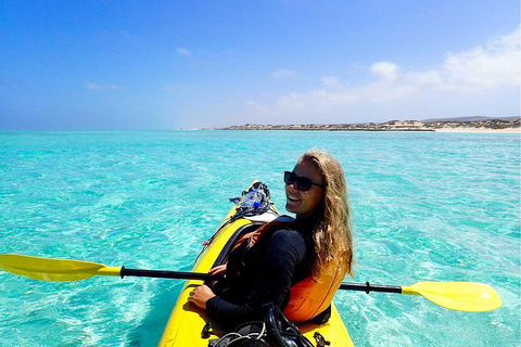 Lagoon Explorer - Ningaloo Reef Full-Day Kayaking And Snorkeling Adventure - Broome Tourism 1