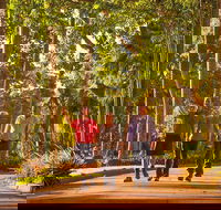 Darwin City Sights and Jumping Crocodile Cruise - Broome Tourism