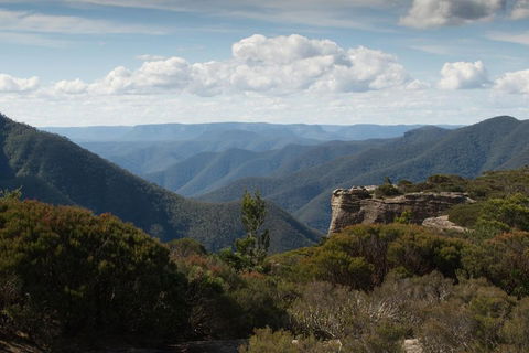 Inside The Greater Blue Mountains World Heritage - A Private Wildlife Safari Overnight - Broome Tourism 5