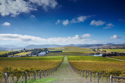 Yarra Valley Wine And Wildlife Self-Driving Tour - Broome Tourism 1