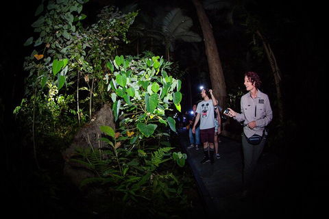 Let's Go Buggin & Let's Go Shroomin - Photography & Nature Walking Tours - Broome Tourism 4