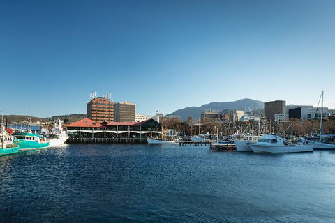 Hobart City Sightseeing Tour Including MONA Admission - Broome Tourism 0