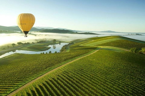 Half-Day Or Full-Day Tour With Private Guide From Melbourne - Broome Tourism 4