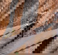 Chillagoe Caves and Outback Day Trip from Cairns - Broome Tourism