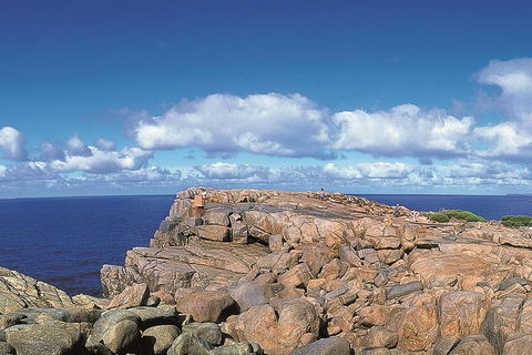 4 Day Tour: Albany, Margaret River, Valley Of The Giants TreeTop Walk From Perth - Broome Tourism 0
