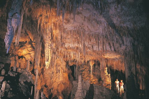 4 Day Tour: Albany, Margaret River, Valley Of The Giants TreeTop Walk From Perth - Broome Tourism 1