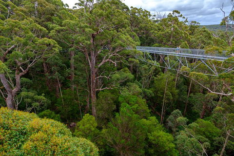 4 Day Tour: Albany, Margaret River, Valley Of The Giants TreeTop Walk From Perth - Broome Tourism 4