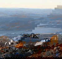 Mt. Wellington Bonorong and Richmond Day Tour from Hobart - Broome Tourism