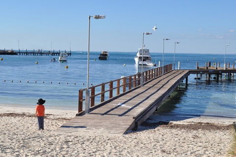 Monkey Mia Dolphins & Shark Bay Air Tour From Perth - Broome Tourism 0