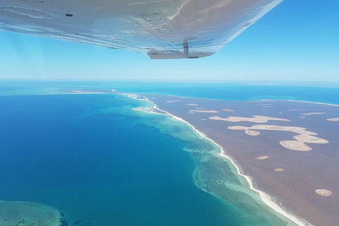 Monkey Mia Dolphins & Shark Bay Air Tour From Perth - Broome Tourism 2