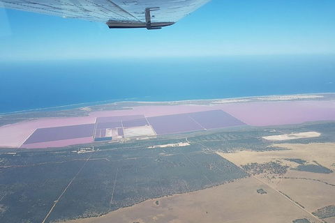 Monkey Mia Dolphins & Shark Bay Air Tour From Perth - Broome Tourism 5