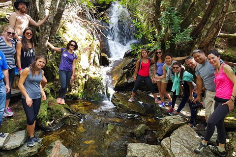 7-Day Super Value Tour Of Tasmania: Explore Tasmania's West And East Coasts - Broome Tourism 2