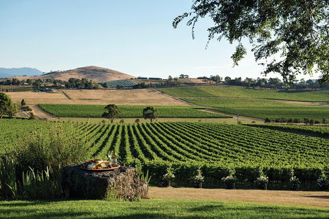Small Group 6 Guests: Ultimate Yarra Valley Food And Wine - Mercedes Van - Broome Tourism 4