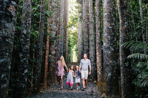 The Original Day Tour To Paronella Park, Lake Barrine And Millaa Millaa Falls - Broome Tourism 1