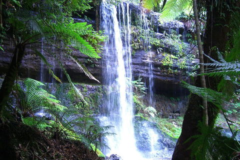 Mt Field National Park And Russell Falls From Hobart - Broome Tourism 0