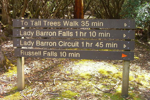 Mt Field National Park And Russell Falls From Hobart - Broome Tourism 2