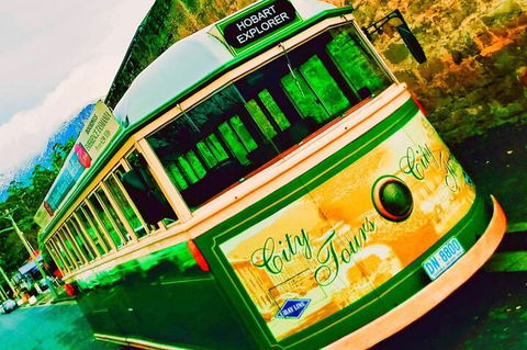 Hobart Half-Day Sightseeing Coach Tram Tour - Broome Tourism 5