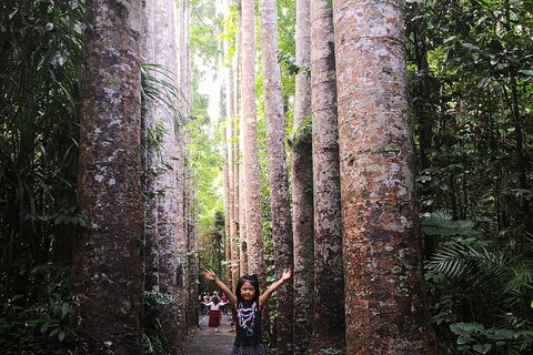 Private Tour To Paronella Park, Historic Village Herberton And Wild Life Wallaby - Broome Tourism 2