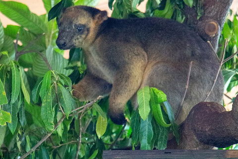 Virtual Interactive Australian Wildlife Tour With Private Guide-Wildlife Habitat - Broome Tourism 4