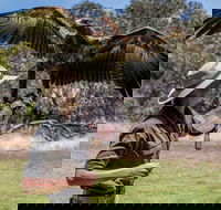 One Day Kangaroo Island Sip  See tour with return ferry transfers from Adelaide - Broome Tourism
