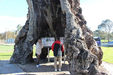 Barossa And Hahndorf Day Trip From Adelaide Including Wine Tasting And Lunch - Broome Tourism 1