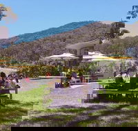 Yarra Valley Wine and Cider Tours by Classic Convertibles from Melbourne - Broome Tourism