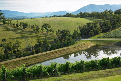 Yarra Valley Wine And Cider Tours By Classic Convertibles From Melbourne - Broome Tourism 1