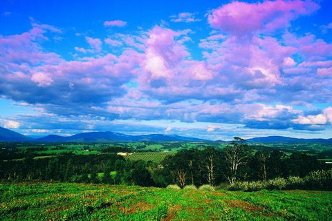 Yarra Valley Wine And Cider Tours By Classic Convertibles From Melbourne - Broome Tourism 3