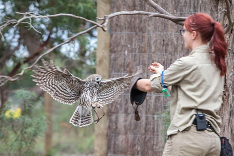 Moonlit Sanctuary Wildlife Conservation Park Daytime General Entry Ticket - Broome Tourism 1