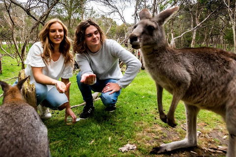 Moonlit Sanctuary Wildlife Conservation Park Daytime General Entry Ticket - Broome Tourism 2