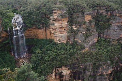 Blue Mountains Private Tour With Kangaroos & Koala Encounter - Broome Tourism 2