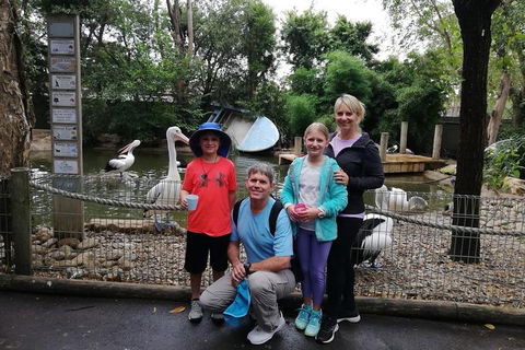 Blue Mountains Private Tour With Kangaroos & Koala Encounter - Broome Tourism 4