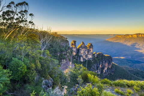 Blue Mountains Private Tour With Kangaroos & Koala Encounter - Broome Tourism 5