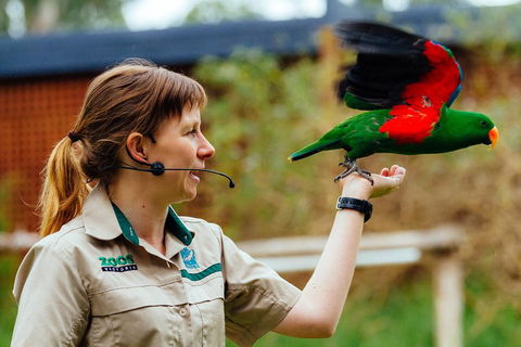 VIP Sanctuary Tour At Healesville Sanctuary Ticket - Broome Tourism 0