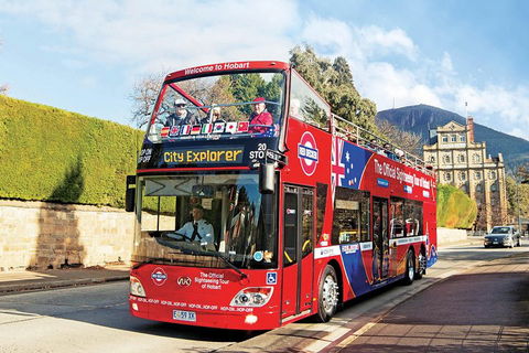 Hobart Hop-On Hop-Off Bus & Kunanyi/Mt Wellington Tour - Broome Tourism 4