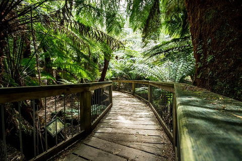 Melbourne To Adelaide South East Coast 3 Day Overland Tour - Broome Tourism 1