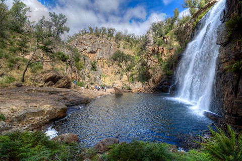 Melbourne To Adelaide South East Coast 3 Day Overland Tour - Broome Tourism 4