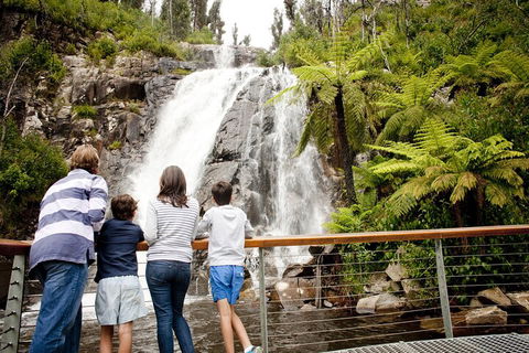 Lake Mountain Snow Trip Including Yarra Valley Chocolaterie From Melbourne - Broome Tourism 0