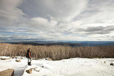 Lake Mountain Snow Trip Including Yarra Valley Chocolaterie From Melbourne - Broome Tourism 5