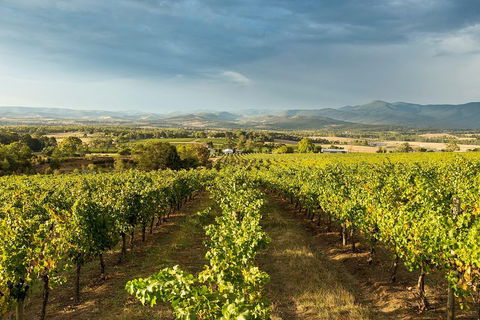 Yarra Valley Local Produce And Wine Tasting Tour - Broome Tourism 3