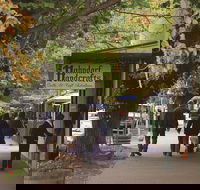 Adelaide Highlights Hahndorf  McLaren Vale Wine Tasting and Sightseeing Tour - Broome Tourism