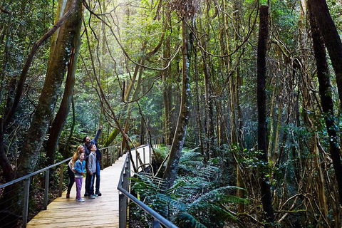 Blue Mountains Private Tour With Wildlife Park And River Cruise - Broome Tourism 4