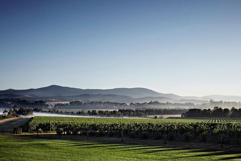 Chauffeur Driven Yarra Valley Group Wine Tour - Up To 7 - Broome Tourism 2
