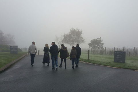 Chauffeur Driven Yarra Valley Group Wine Tour - Up To 7 - Broome Tourism 4
