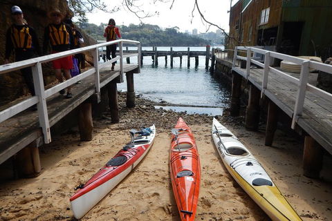 Kayak To Goat Island In Sydney Harbour With Local - Broome Tourism 3
